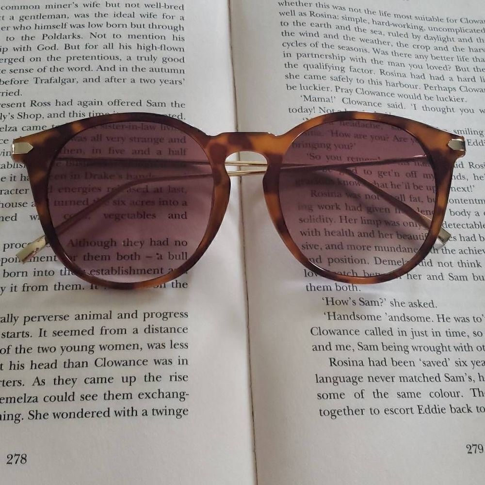 Brown Sunglasss